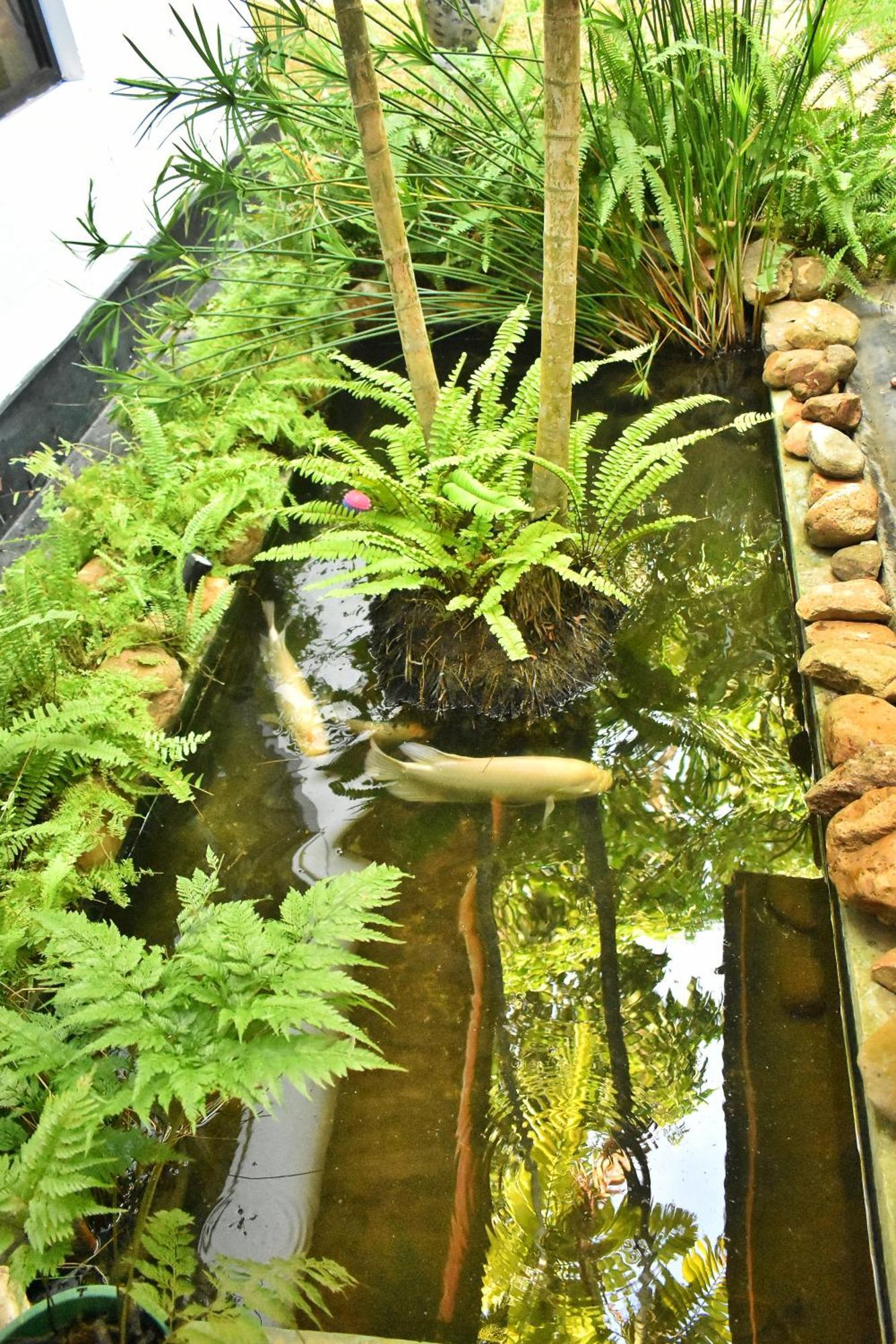 Leisure House Safari Διαμέρισμα Udawalawe Εξωτερικό φωτογραφία